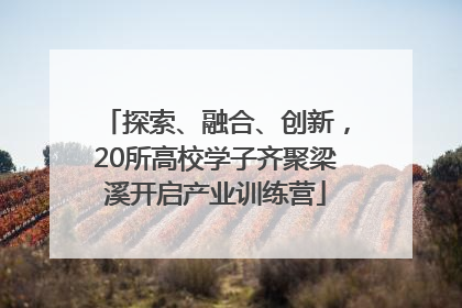探索、融合、创新，20所高校学子齐聚梁溪开启产业训练营