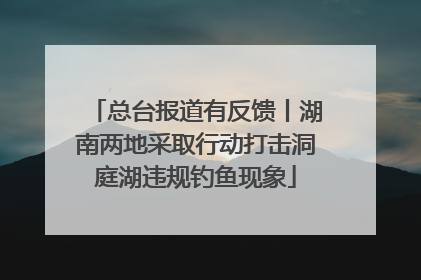 总台报道有反馈丨湖南两地采取行动打击洞庭湖违规钓鱼现象