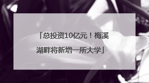 总投资10亿元！梅溪湖畔将新增一所大学