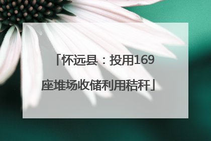 怀远县：投用169座堆场收储利用秸秆