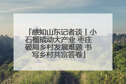 感知山东记者谈丨小石榴撬动大产业 枣庄破局乡村发展难题 书写乡村共富答卷