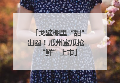 戈壁棚里“甜”出圈！瓜州蜜瓜抢“鲜”上市
