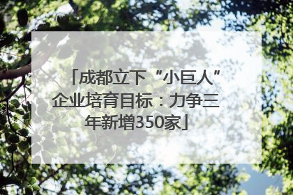 成都立下“小巨人”企业培育目标：力争三年新增350家