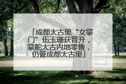 成都太古里“女掌门”伍玉珊获晋升，掌舵太古内地零售，仍管成都太古里