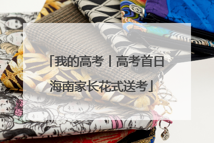 我的高考丨高考首日 海南家长花式送考
