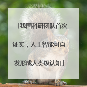 我国科研团队首次证实，人工智能可自发形成人类级认知