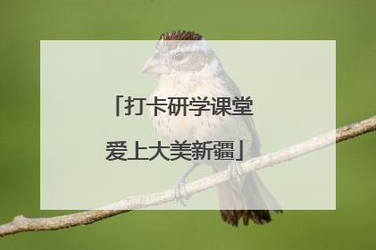 打卡研学课堂 爱上大美新疆