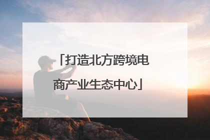 打造北方跨境电商产业生态中心