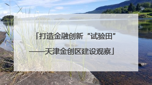 打造金融创新“试验田”——天津金创区建设观察