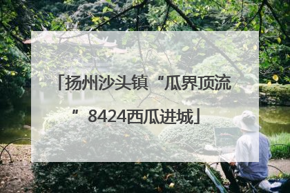 扬州沙头镇“瓜界顶流”8424西瓜进城