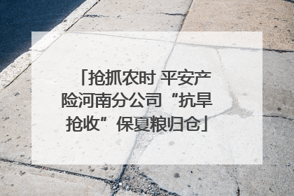抢抓农时 平安产险河南分公司“抗旱抢收”保夏粮归仓