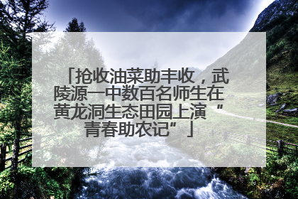 抢收油菜助丰收，武陵源一中数百名师生在黄龙洞生态田园上演“青春助农记”