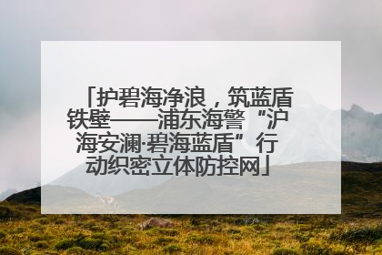 护碧海净浪，筑蓝盾铁壁——浦东海警“沪海安澜·碧海蓝盾”行动织密立体防控网