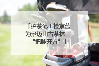护茶记！检察蓝为景迈山古茶林 “把脉开方”