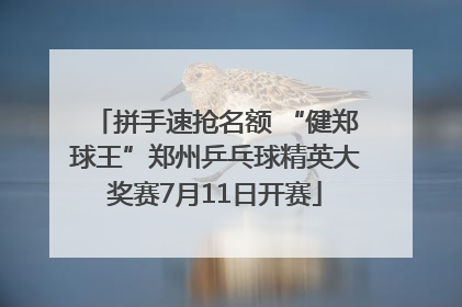 拼手速抢名额 “健郑球王”郑州乒乓球精英大奖赛7月11日开赛