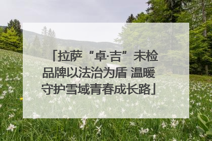 拉萨“卓·吉”未检品牌以法治为盾 温暖守护雪域青春成长路