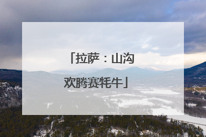 拉萨：山沟欢腾赛牦牛