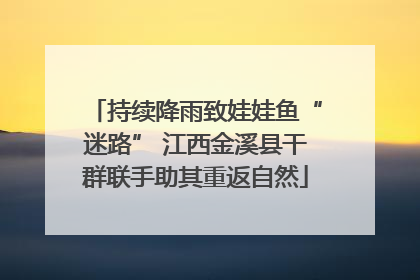 持续降雨致娃娃鱼“迷路” 江西金溪县干群联手助其重返自然