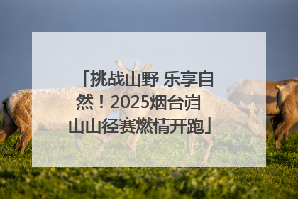 挑战山野 乐享自然！2025烟台岿山山径赛燃情开跑