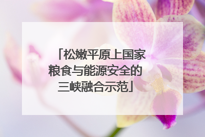 松嫩平原上国家粮食与能源安全的三峡融合示范