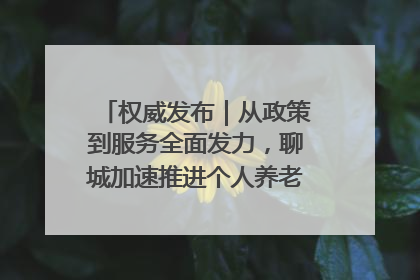 权威发布｜从政策到服务全面发力，聊城加速推进个人养老金制度落地