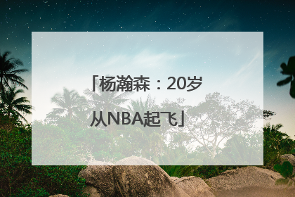 杨瀚森：20岁从NBA起飞