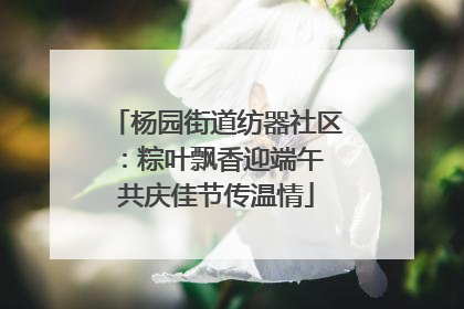 杨园街道纺器社区：粽叶飘香迎端午 共庆佳节传温情