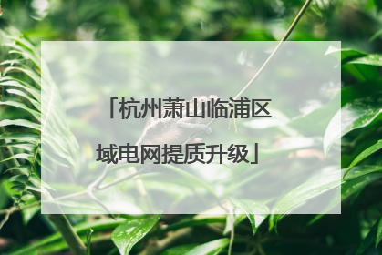 杭州萧山临浦区域电网提质升级