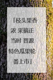 枝头果香浓 采摘正当时 晋源特色瓜果轮番上市