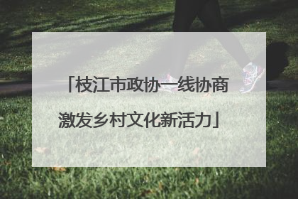 枝江市政协一线协商激发乡村文化新活力