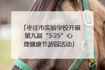 枣庄市实验学校开展第九届“5·25”心理健康节游园活动