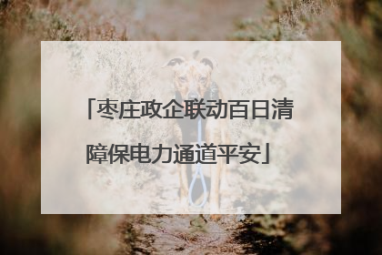 枣庄政企联动百日清障保电力通道平安
