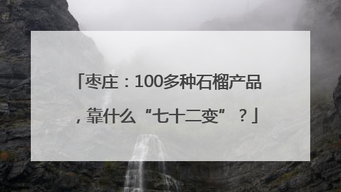 枣庄：100多种石榴产品，靠什么“七十二变”？