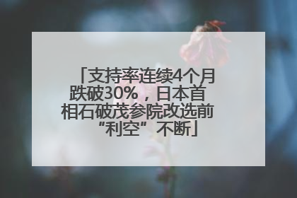 支持率连续4个月跌破30%，日本首相石破茂参院改选前“利空”不断