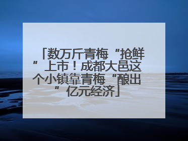 数万斤青梅“抢鲜”上市！成都大邑这个小镇靠青梅“酿出”亿元经济