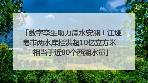 数字孪生助力澧水安澜！江垭皂市两水库拦洪超10亿立方米 相当于近80个西湖水量