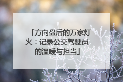 方向盘后的万家灯火：记录公交驾驶员的温暖与担当