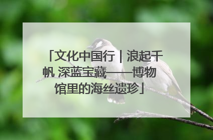 文化中国行｜浪起千帆 深蓝宝藏——博物馆里的海丝遗珍