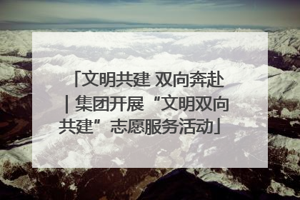 文明共建 双向奔赴｜集团开展“文明双向共建”志愿服务活动