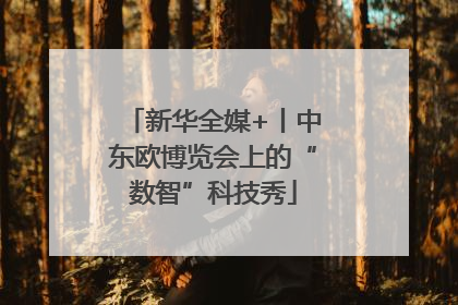 新华全媒+丨中东欧博览会上的“数智”科技秀