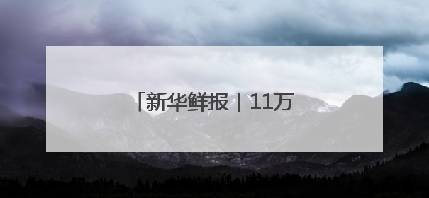 新华鲜报丨11万列！中欧班列跑出亚欧大陆“新时速”
