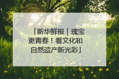 新华鲜报｜瑰宝更青春！看文化和自然遗产新光彩
