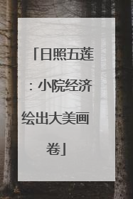 日照五莲：小院经济绘出大美画卷
