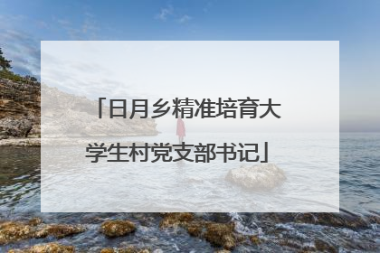 日月乡精准培育大学生村党支部书记