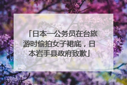 日本一公务员在台旅游时偷拍女子裙底，日本岩手县政府致歉