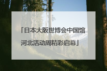日本大阪世博会中国馆河北活动周精彩启幕