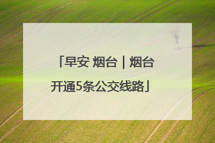 早安 烟台｜烟台开通5条公交线路