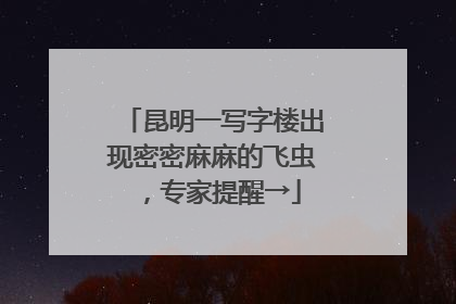 昆明一写字楼出现密密麻麻的飞虫，专家提醒→