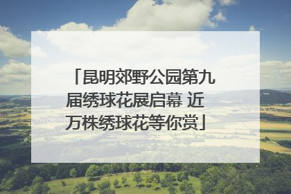 昆明郊野公园第九届绣球花展启幕 近万株绣球花等你赏