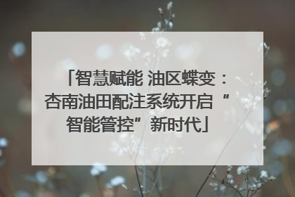 智慧赋能 油区蝶变：杏南油田配注系统开启“智能管控”新时代